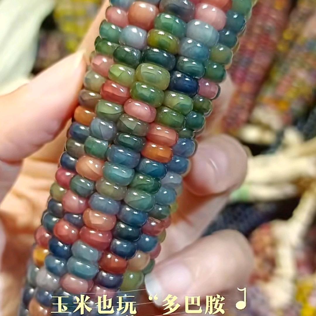 缤纷玉米小铺