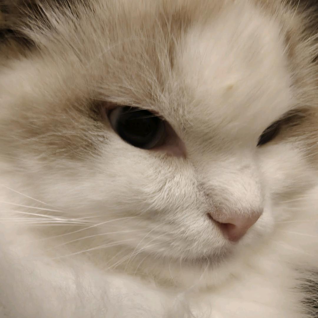 爱吃簸箕炊