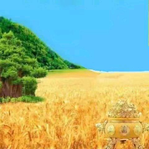 海鹰