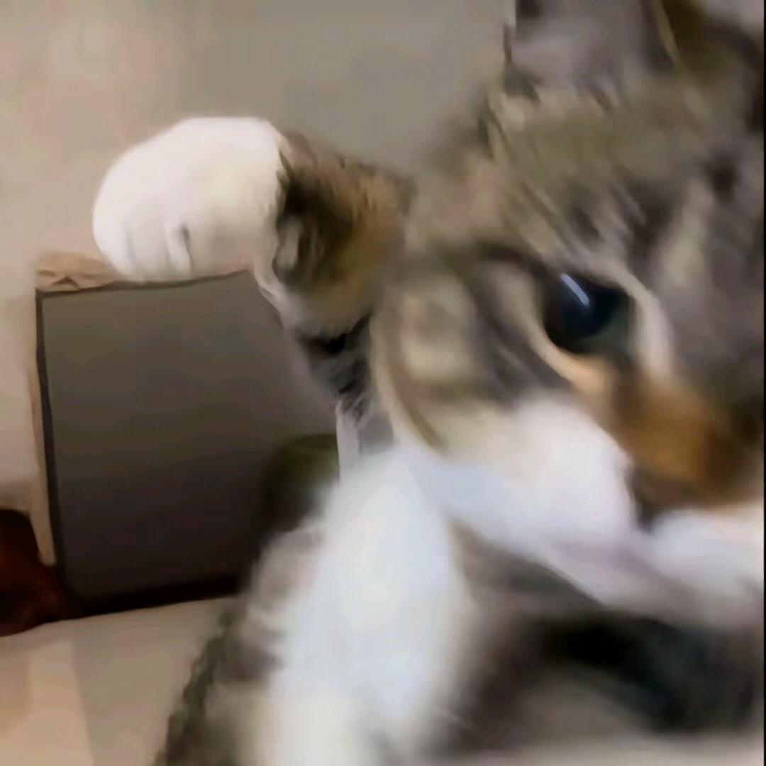 老胡说球