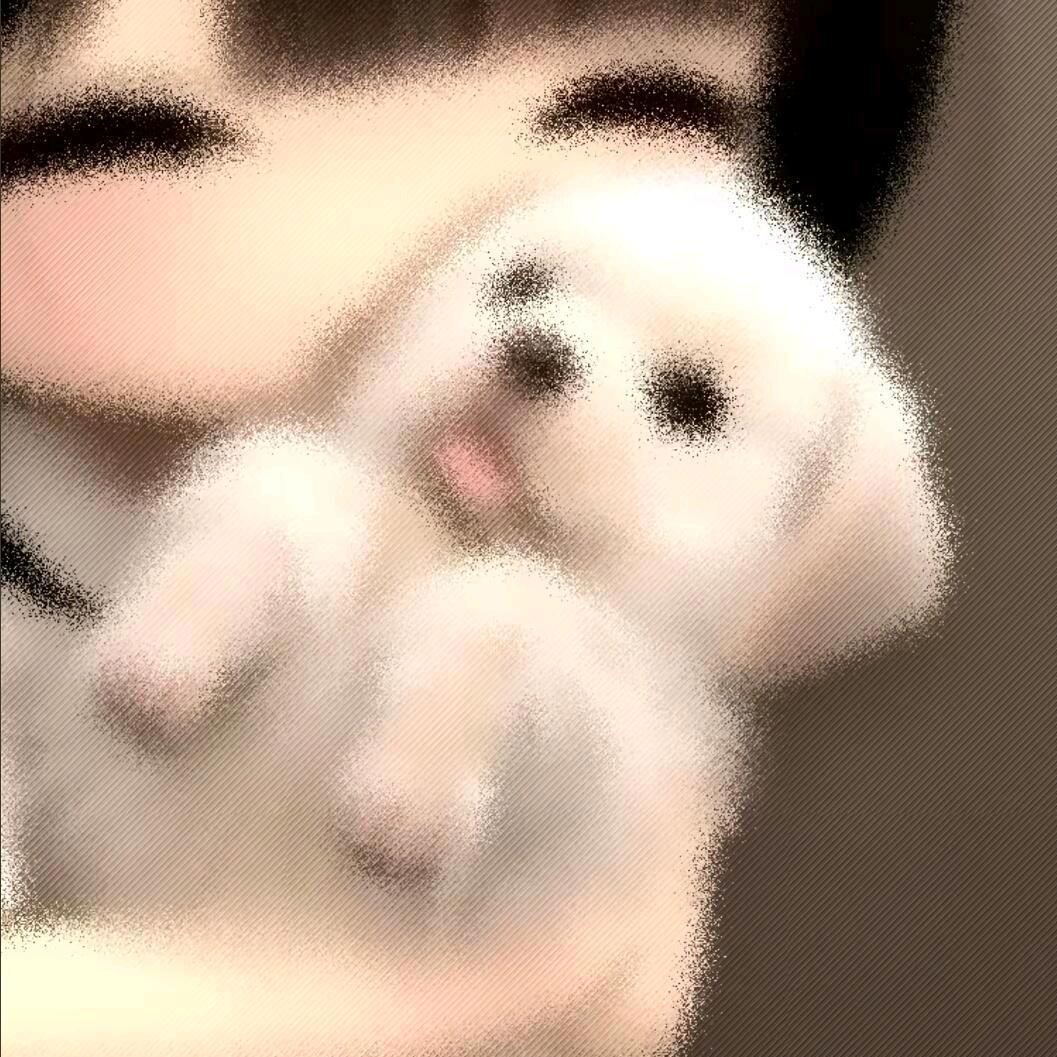 云朵打盹日记