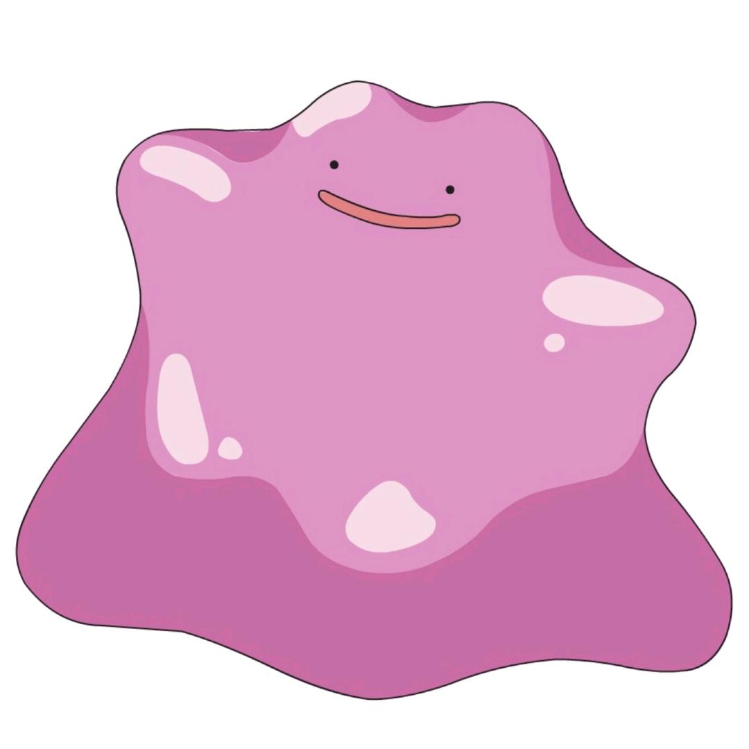 巧克力今天吃什么