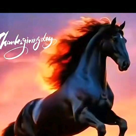🐎心❤️连❤️心❤️🌴