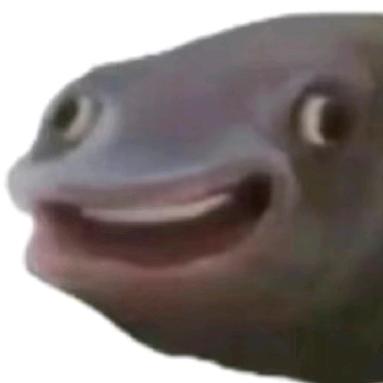 你别管我