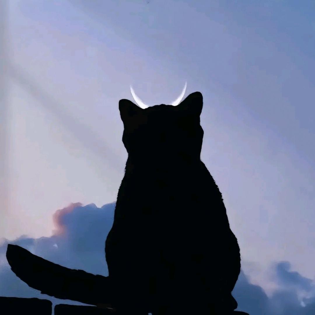 沉默