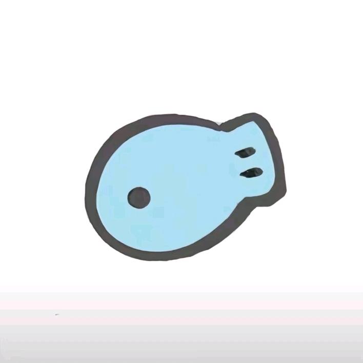 小鱼不怕𓆡