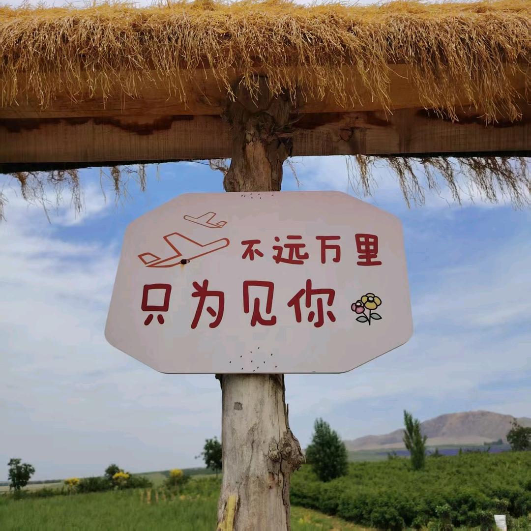 孙辉