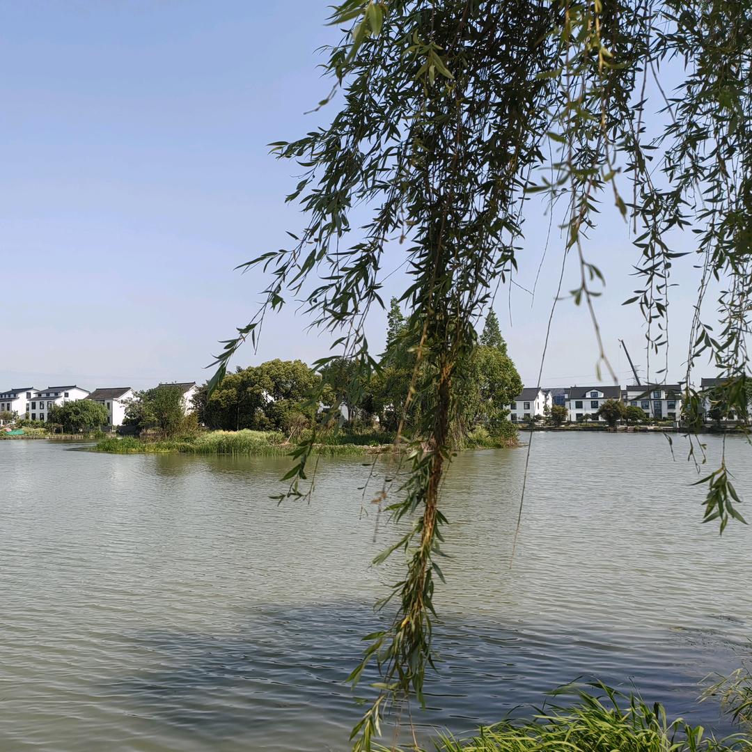 米虫（因为爱吃碳水，所以是米虫）