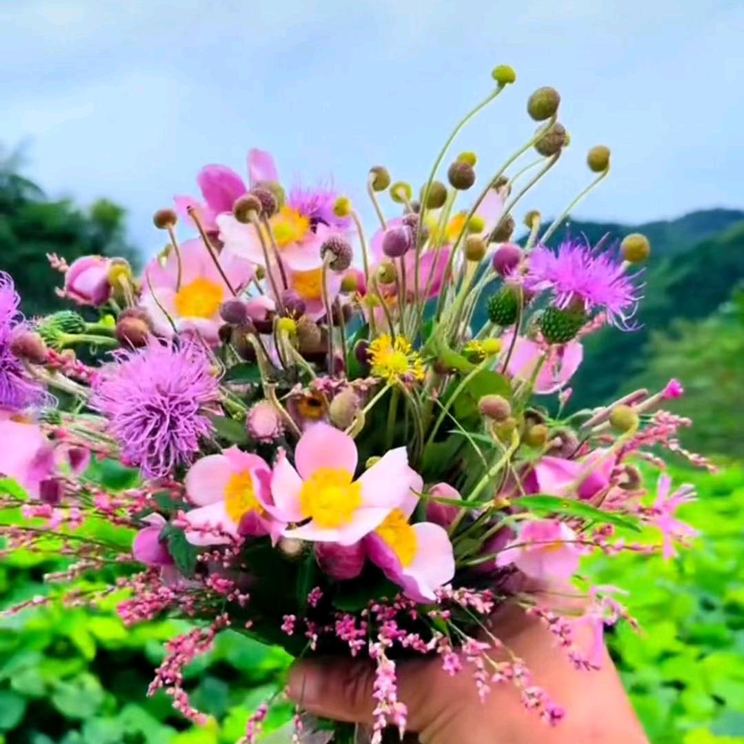 辰溪