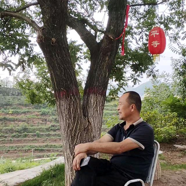远方的呼唤用户8297906368382