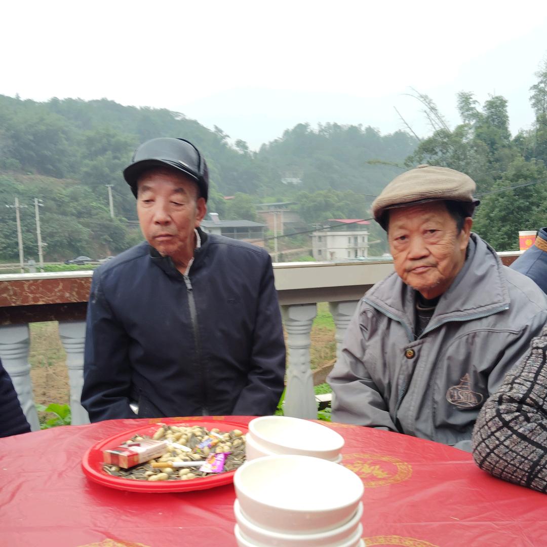 华中府。