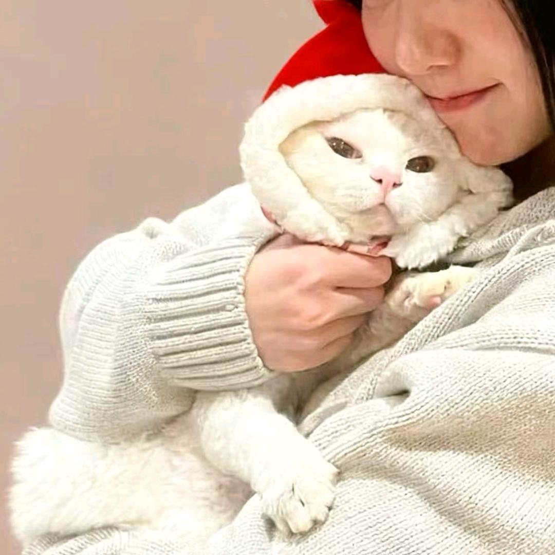 溜