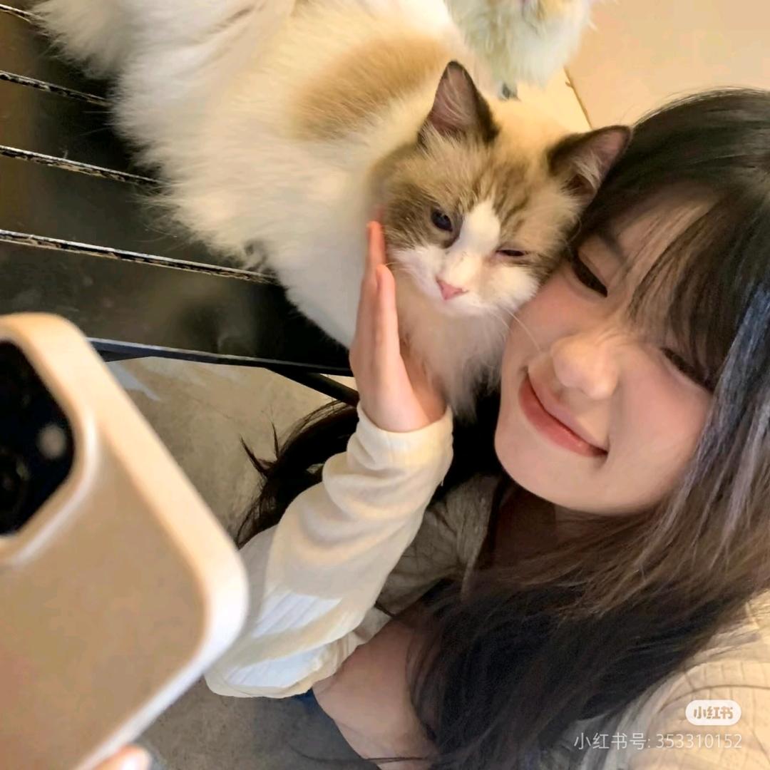 爱吃水果捞