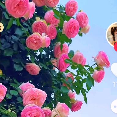 开心快乐每一天