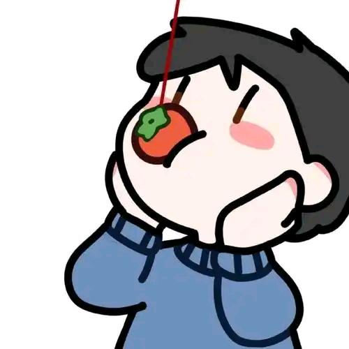 随便君