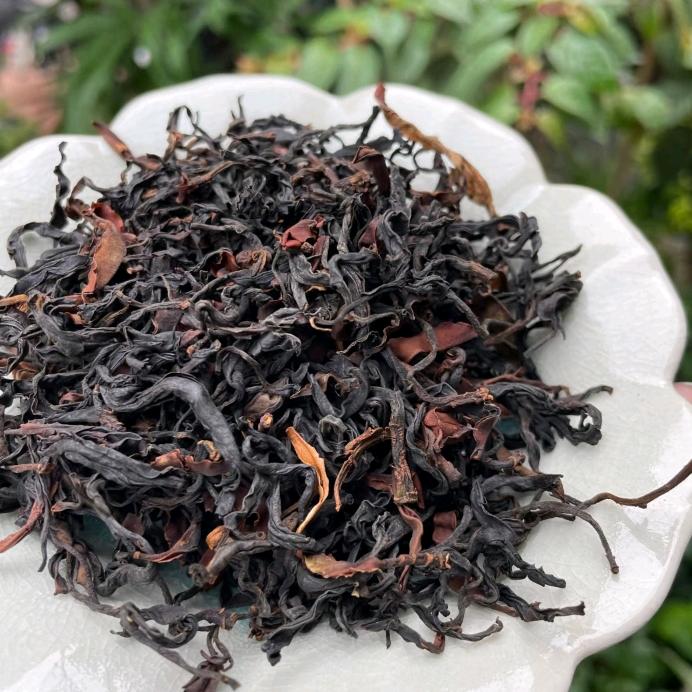 哀牢山大树滇红茶