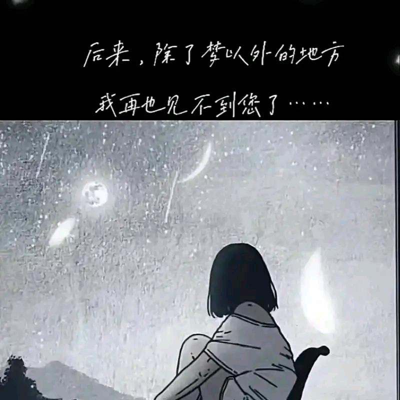 在想月亮啊。