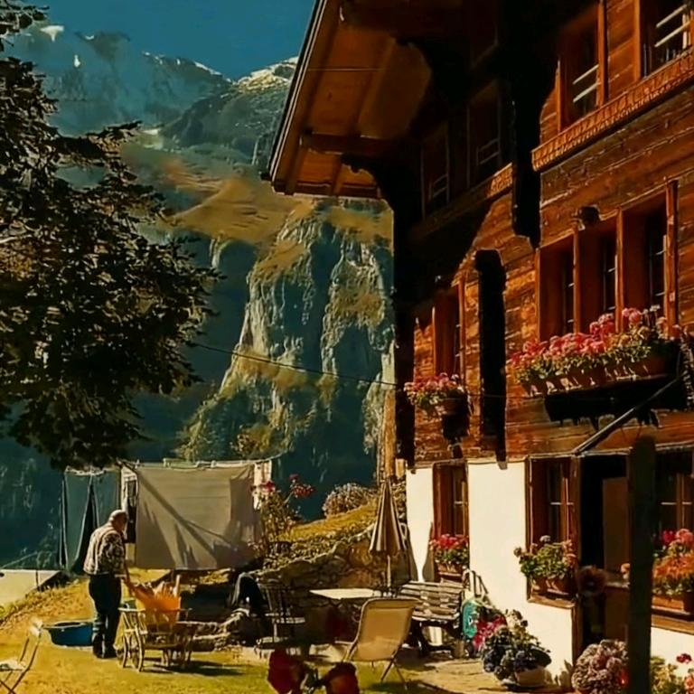 秘酱胡萝卜煎肉