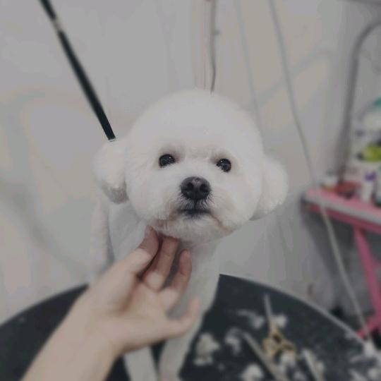 宠爱