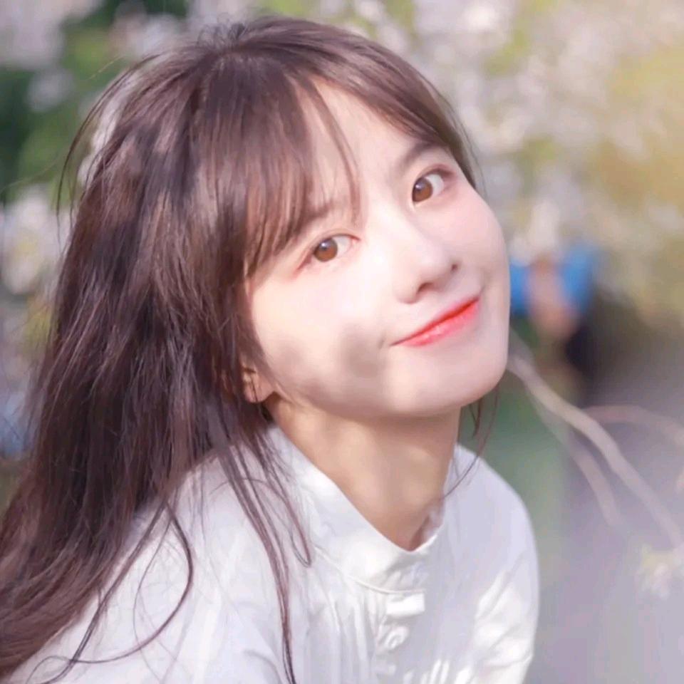 小林不吃肉