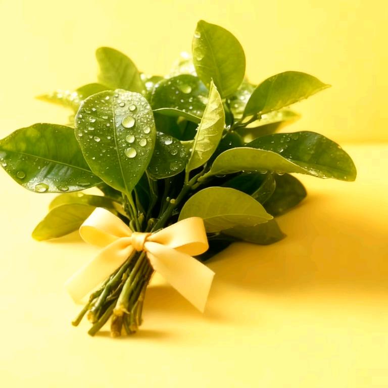 小齐在前（钱）进🍀