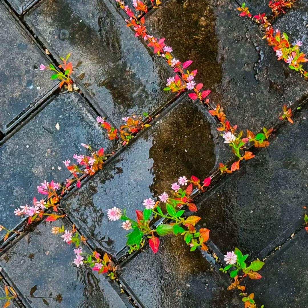 漫悠悠