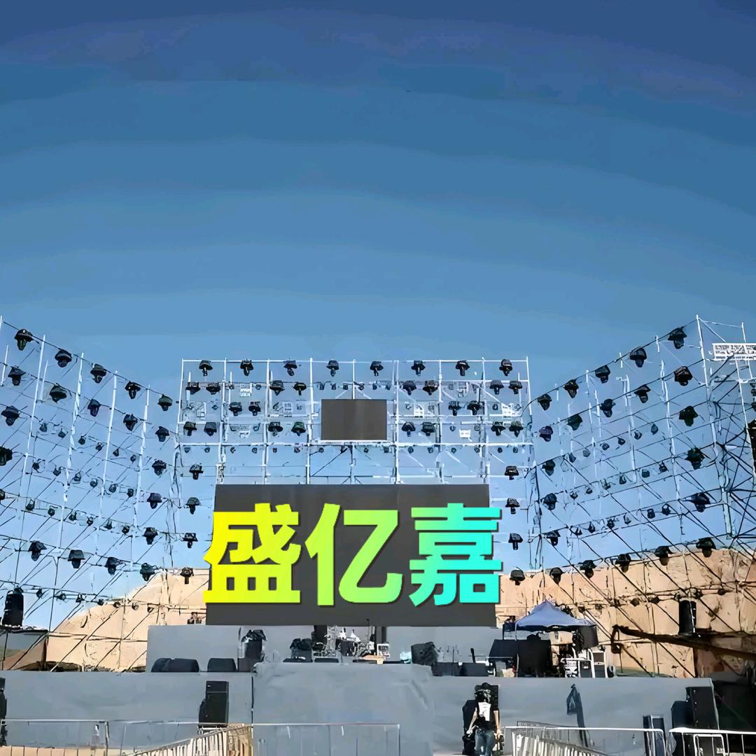 重庆盛亿嘉有限公司