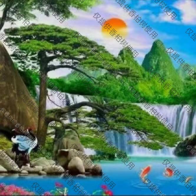 香柏树好物分享