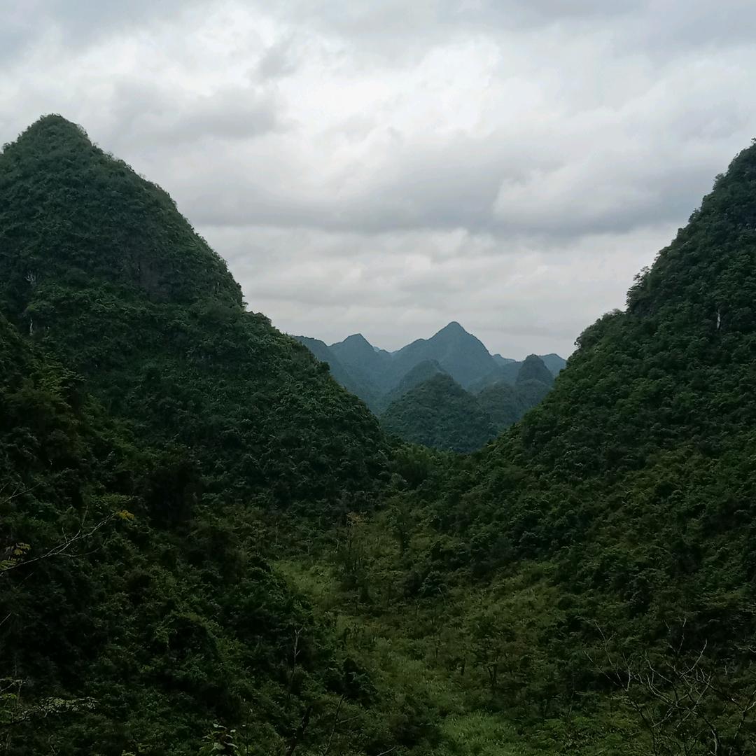 雁北飞
