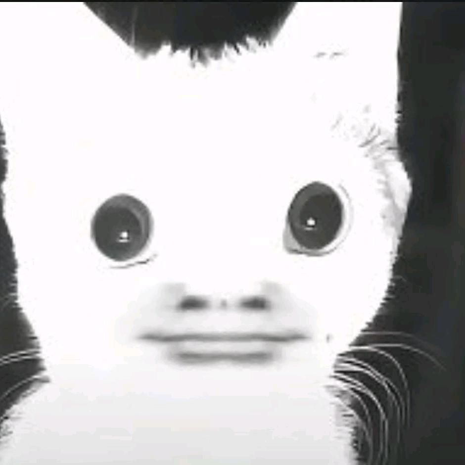 兔兔叉.(•‿•)（学习中）