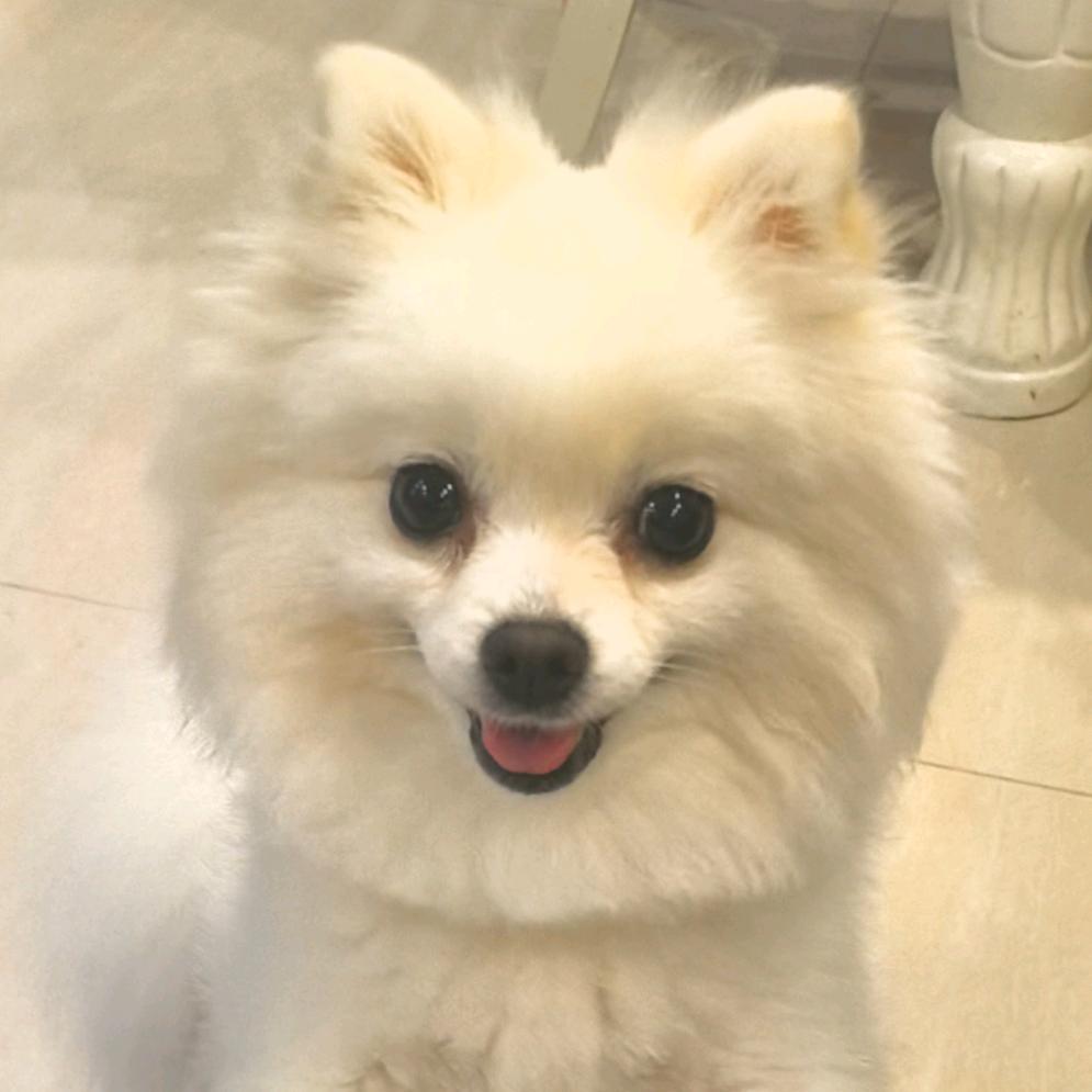 小青蛙🐸🐸🐸