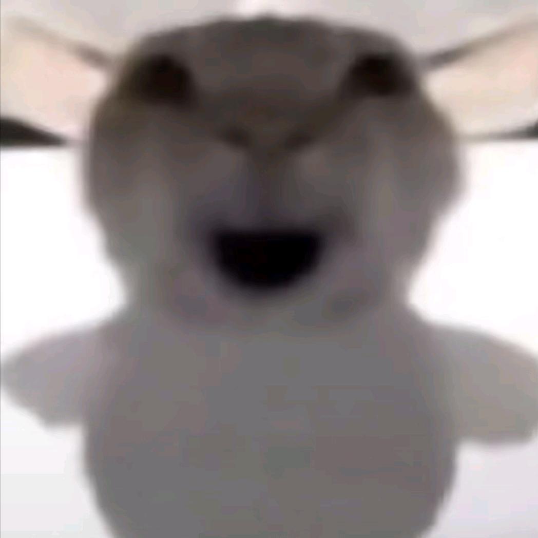南北绿豆