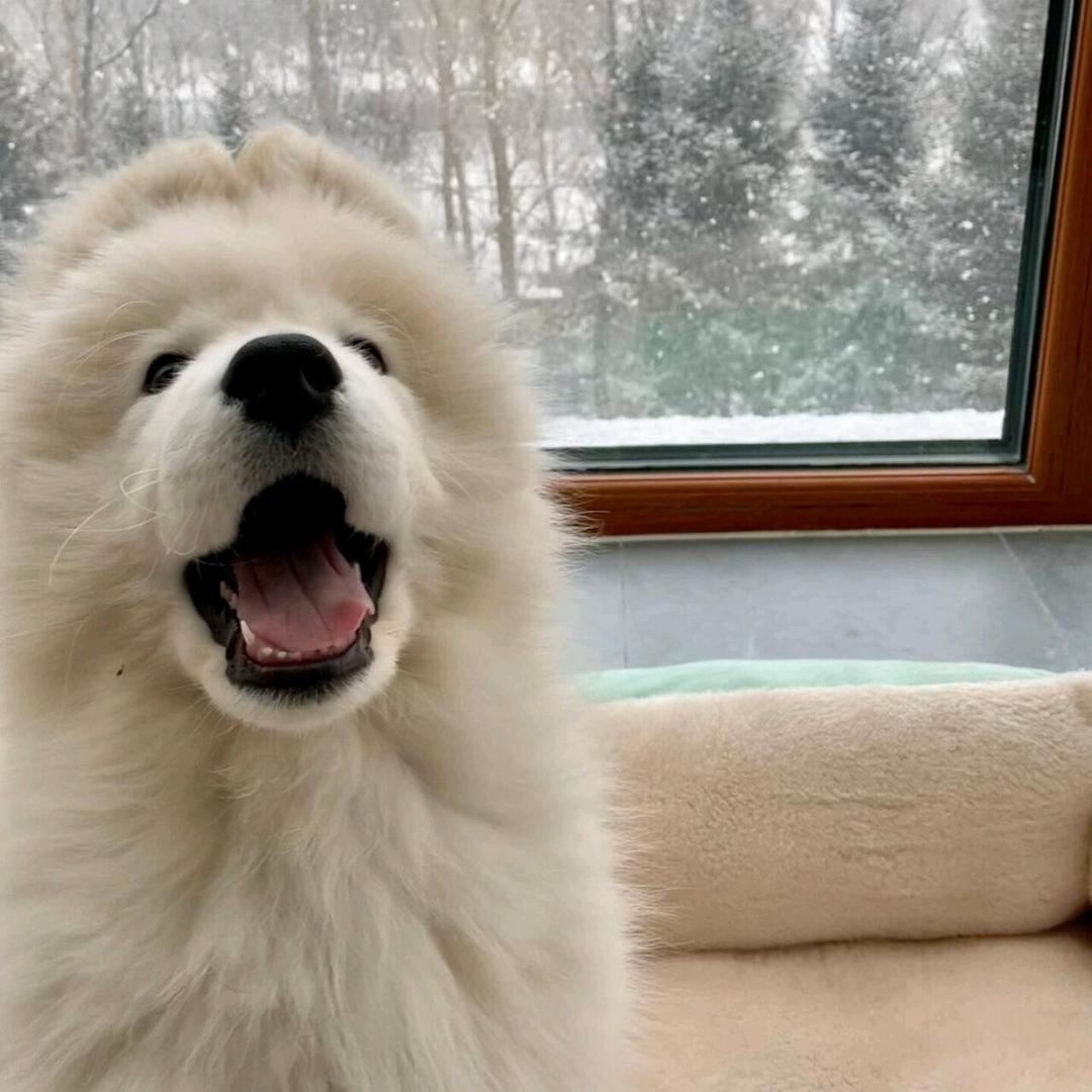 喜柿闲杂铺-青溪