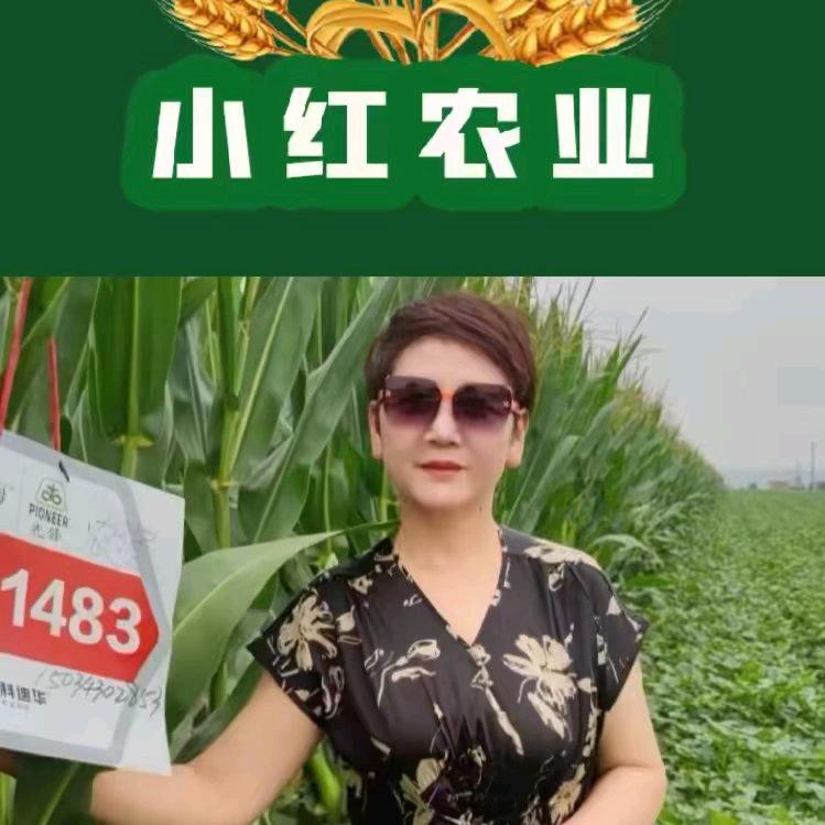 洪洞康小红农业