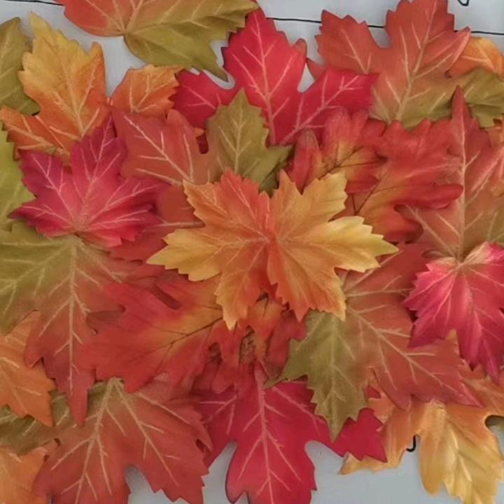 湘南豆