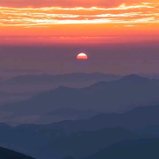 张芮