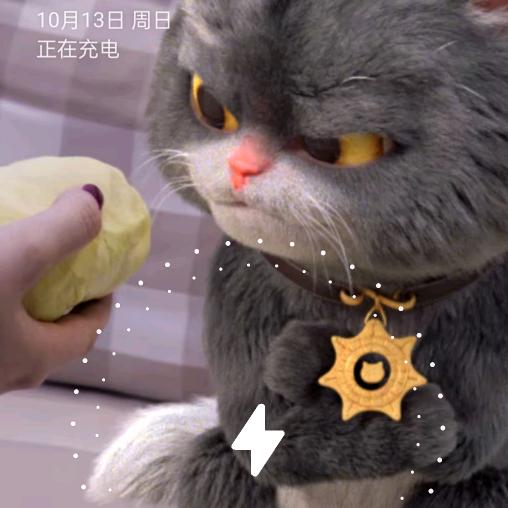 黑猫