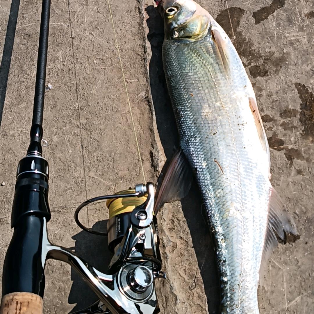 山炮～玩 路 亚 》》》