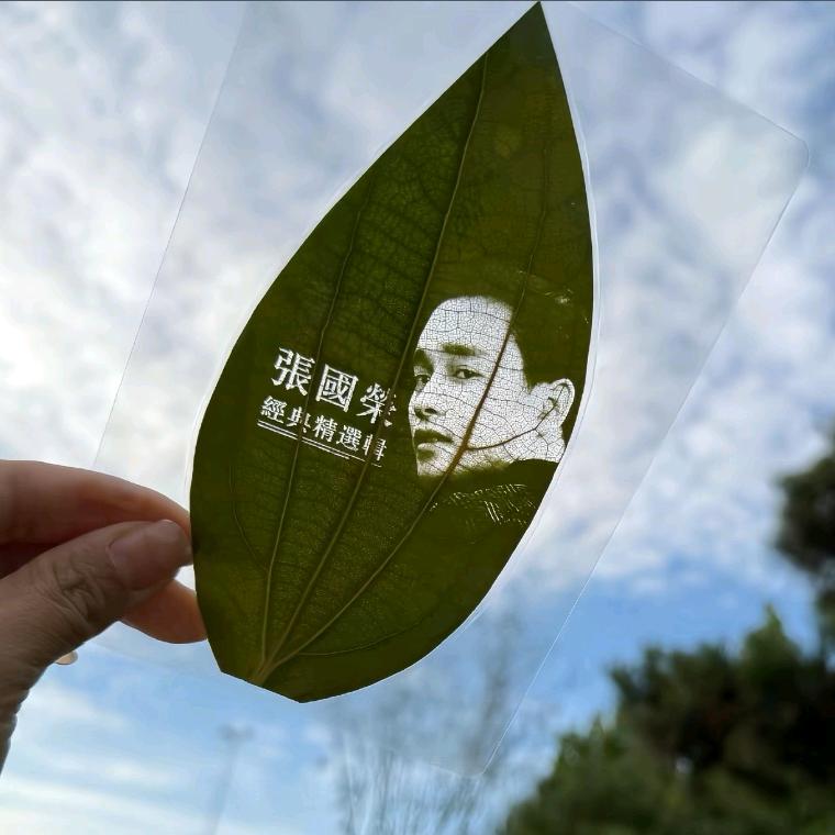 墨尔本的秋天