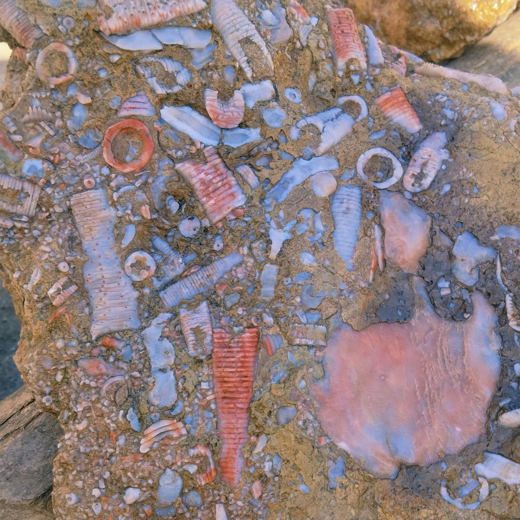 川北徐哥玉石馆