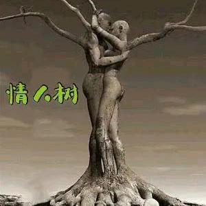 用户7729096082走路不看路