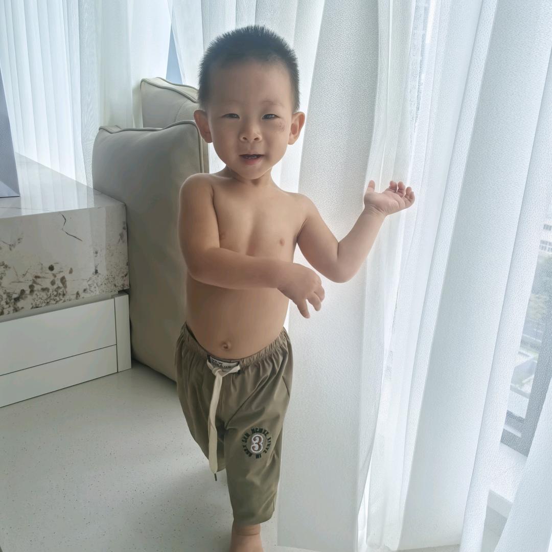 梧桐树下的故事