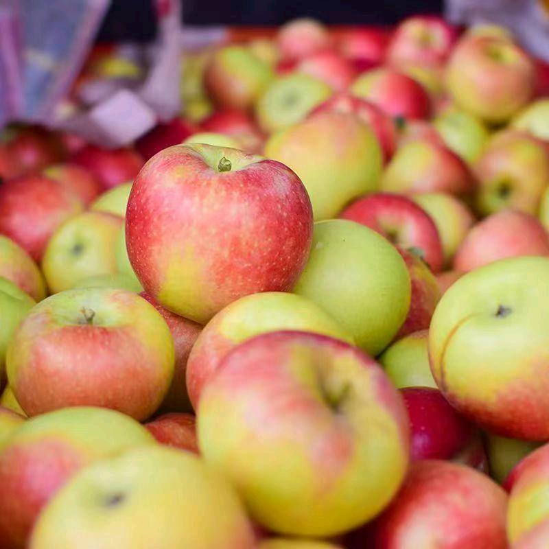 宜亩果园鲜果供应链