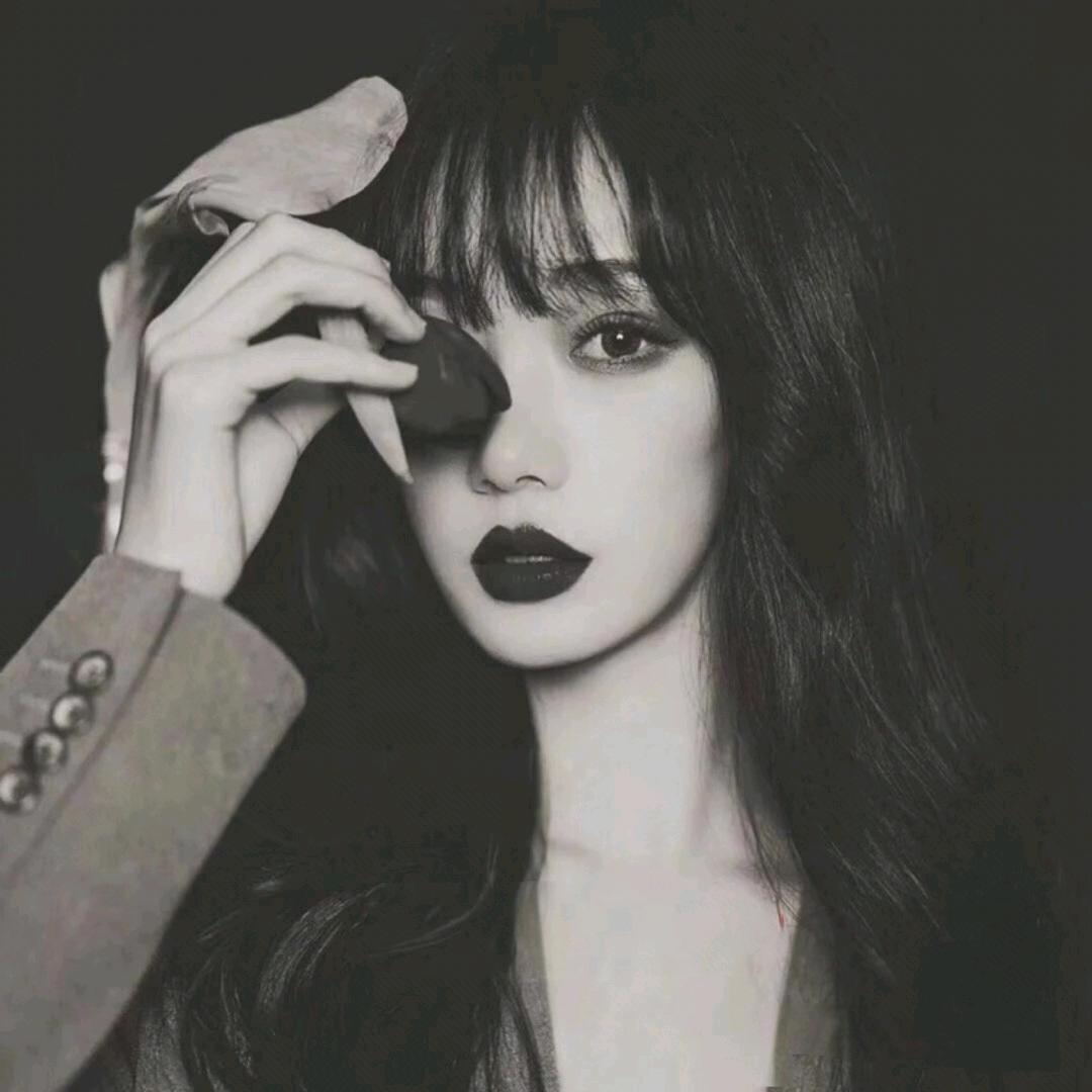 〓☞╭🦔刺猬小姐╰