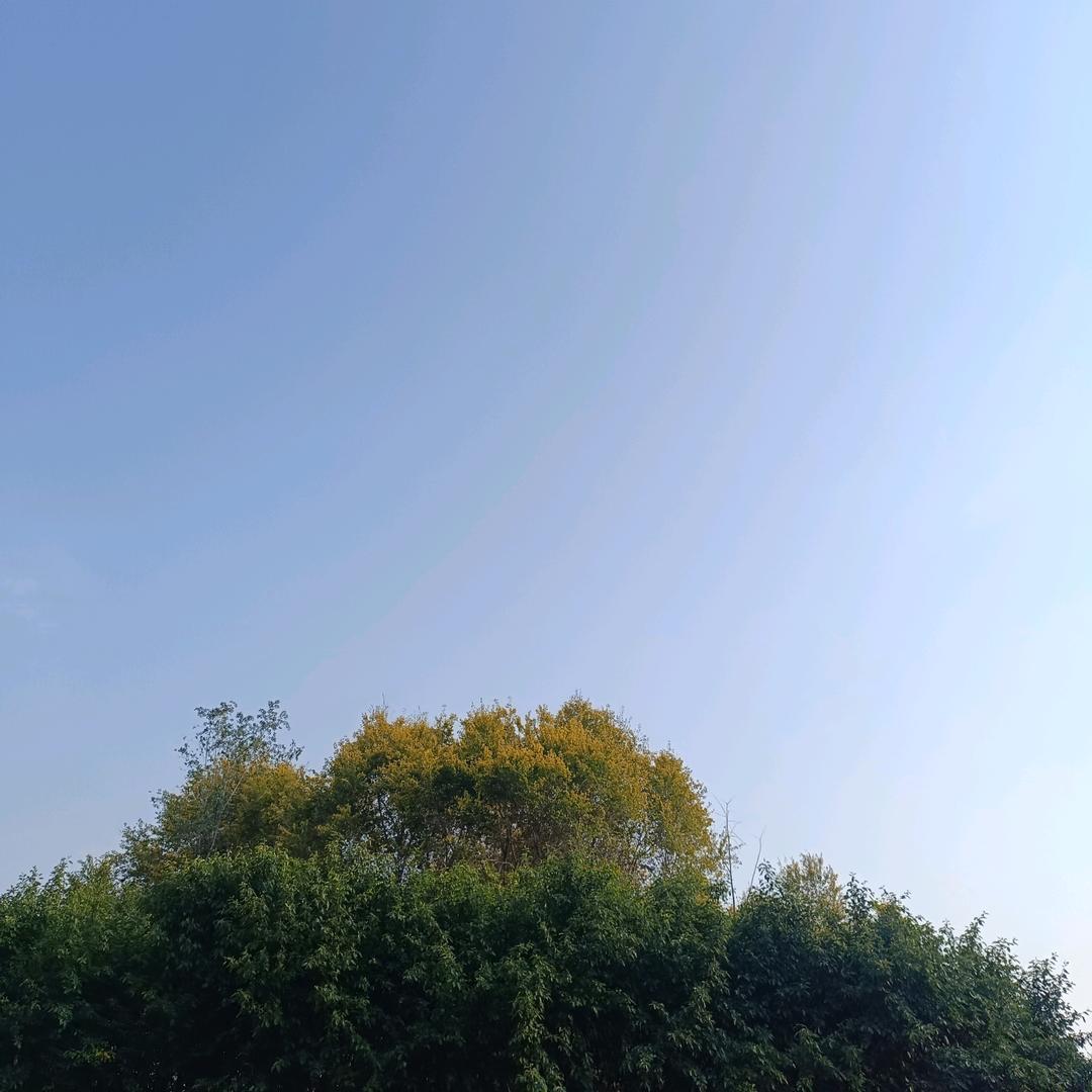 用户0