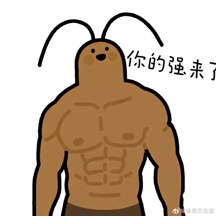 一只_小强(橘猫)