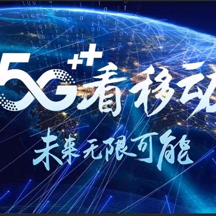 手机号