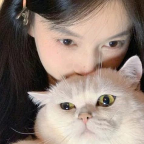 瞌睡猫