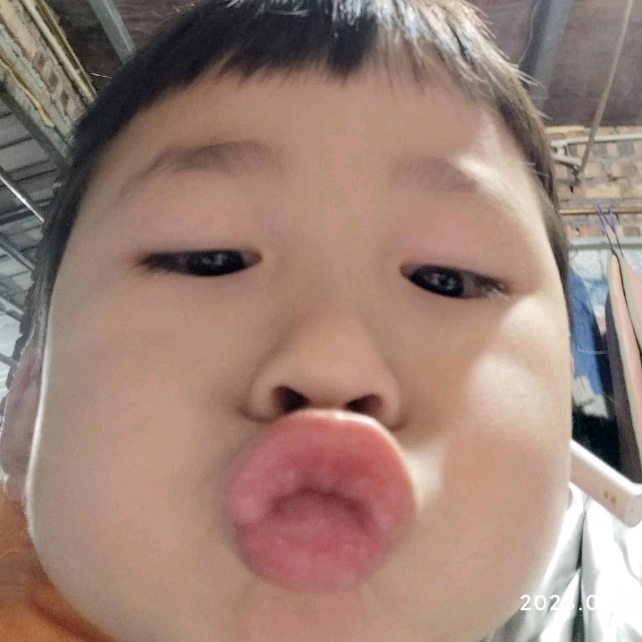 送到缅北嘠腰子