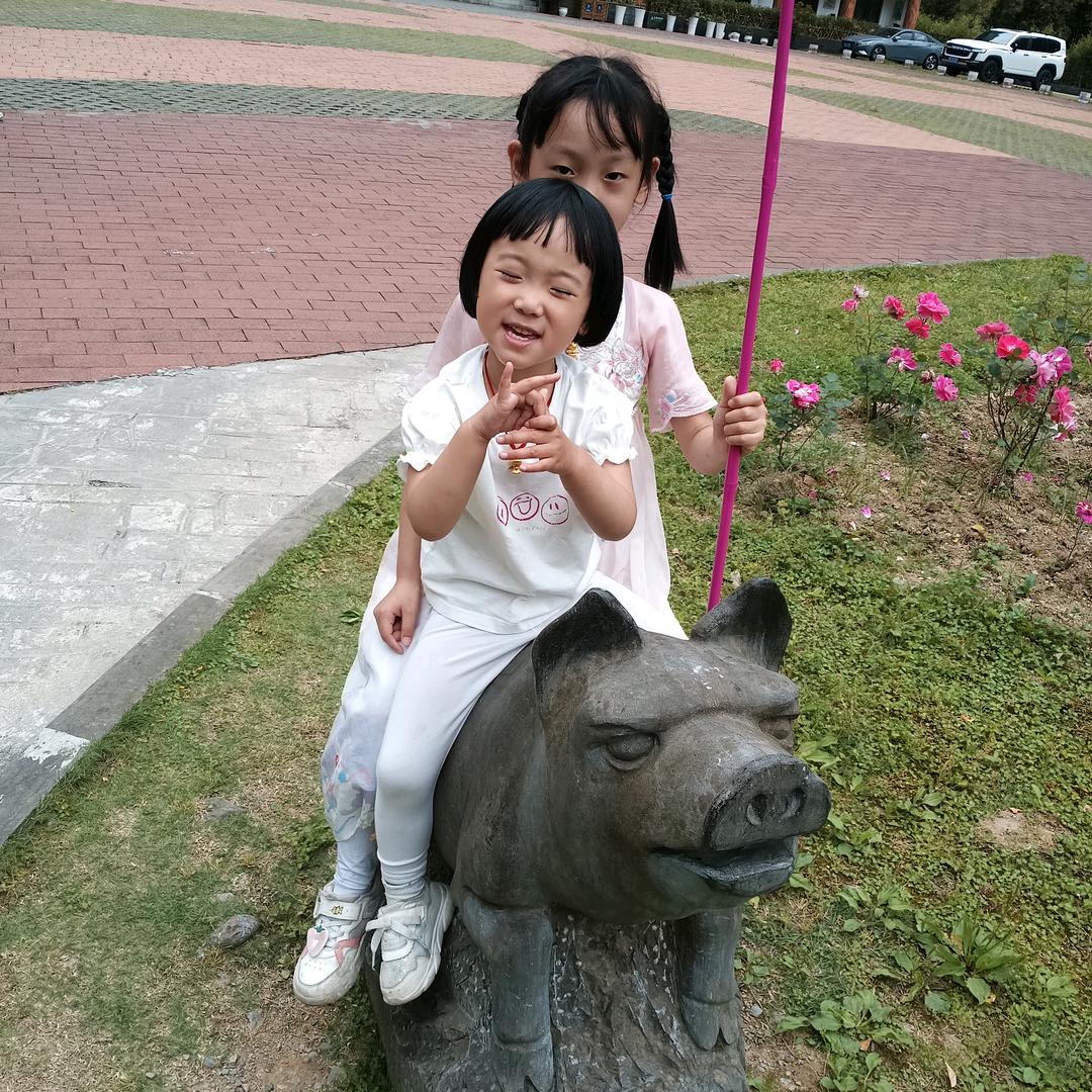 需要各种橙子找我